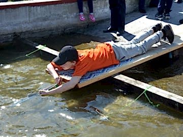 Областное первенство по судомодельному спорту